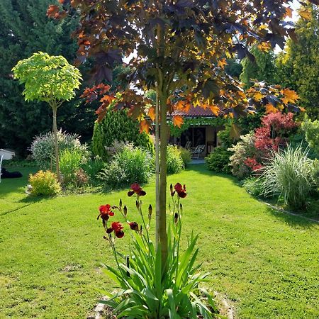 Cozy Rooms In Wine Town - Modra Exterior foto