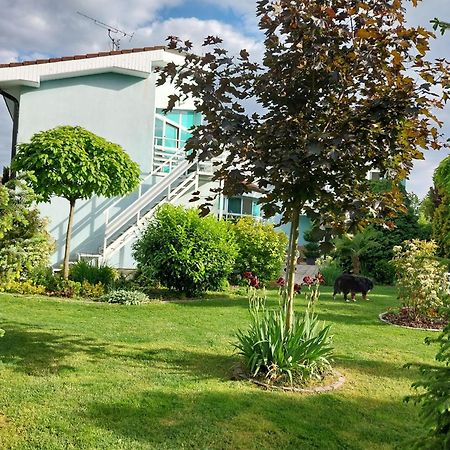 Cozy Rooms In Wine Town - Modra Exterior foto